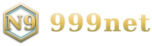 999net logo